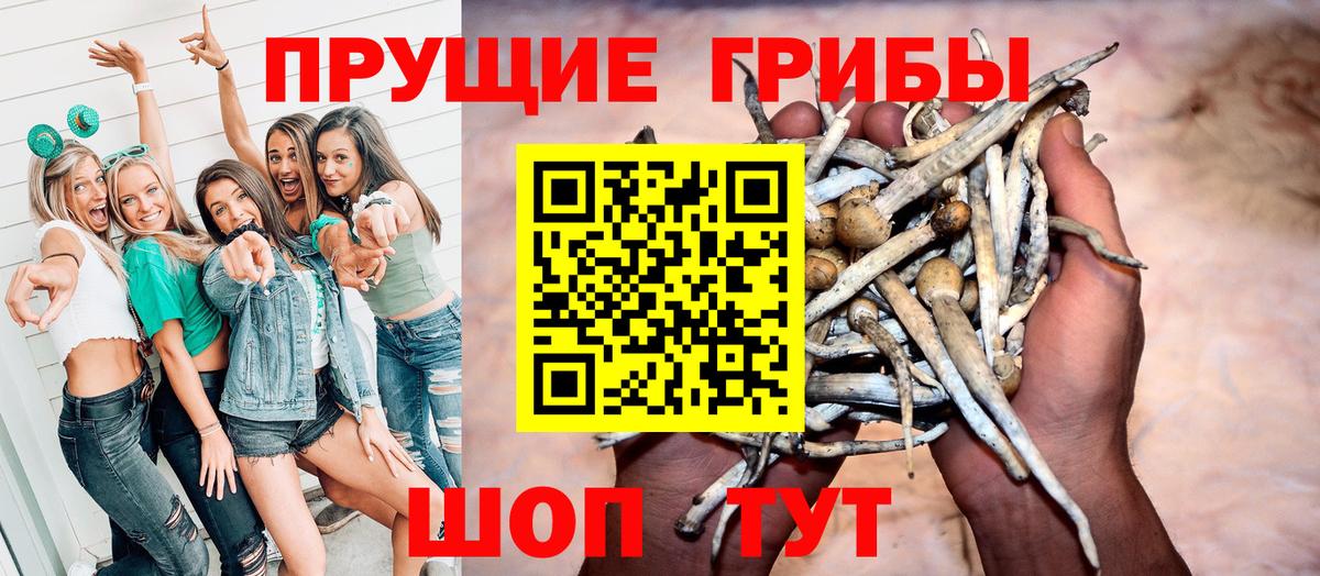 Галлюциногенные грибы Psilocybine cubensis Петропавловск-Камчатский