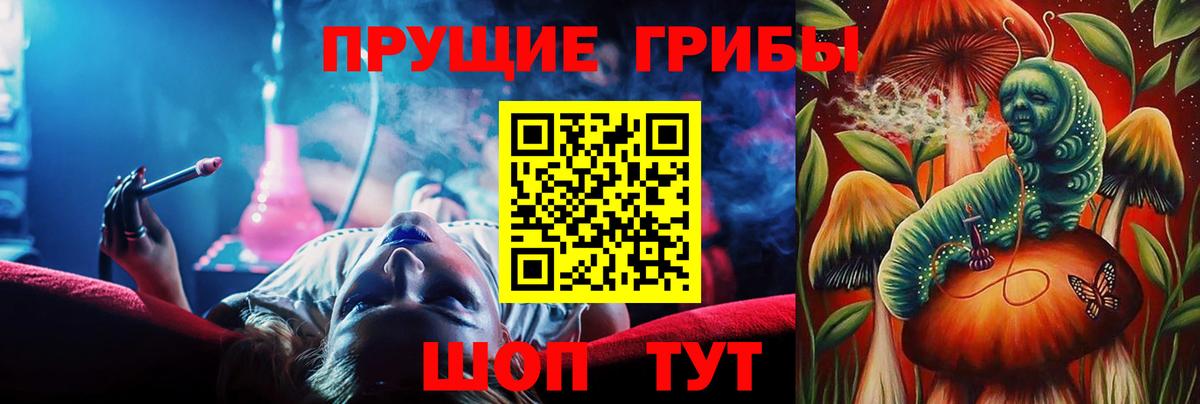 Петропавловск-Камчатский  Галлюциногенные грибы GOLDEN TEACHER  Вход с VPN  Псилоцибиновые грибы мухоморы 